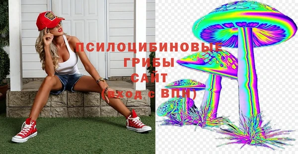 молекула духа Алексин