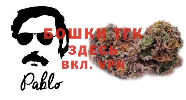 молекула духа Алексин