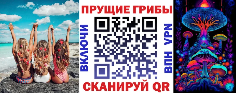 наркотики Шарья Галлюциногенные грибы Psilocybe