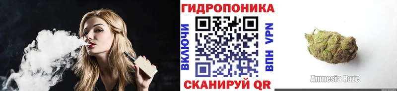 дарнет шоп  Шарья  Конопля гибрид 